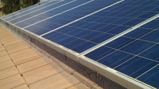 Pigeon control solar panel screen under solar panel on a flat tile roof